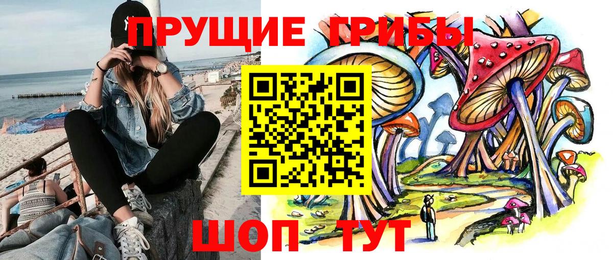 наркошоп  Галлюциногенные грибы MAGIC MUSHROOMS  Вход с VPN  Хабаровск  Псилоцибиновые грибы Psilocybe 