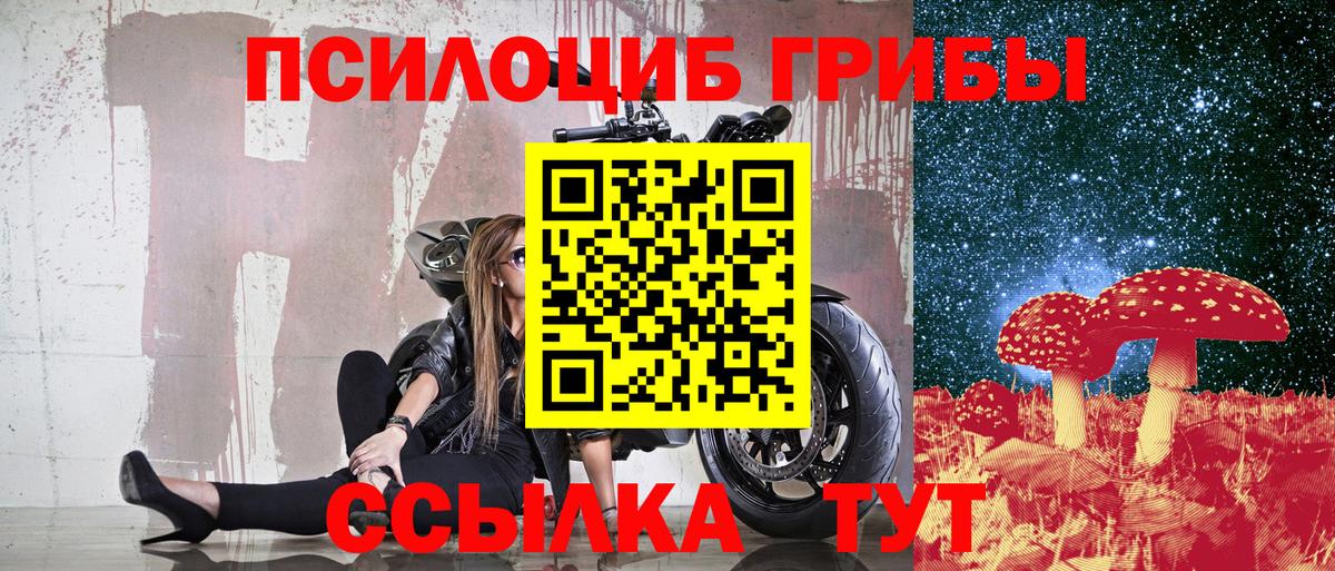 Псилоцибиновые грибы GOLDEN TEACHER Хабаровск